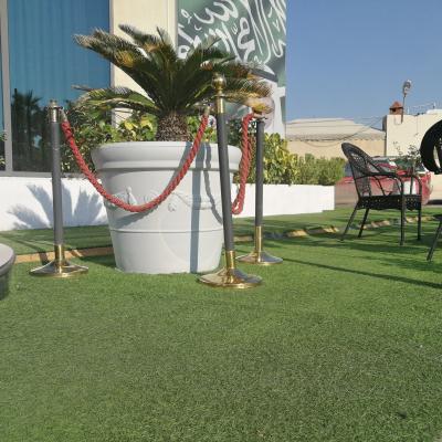 China March Environmental Friendly Expo Landscaping Artificial Grass For House Yard Pipeline Excellent Carpet Grass Te koop