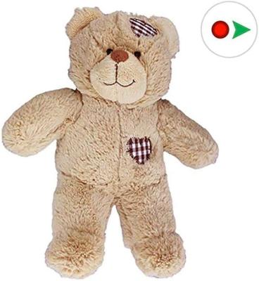 China Plush Disc Your Own Plush 8 Inch Brown Patches Teddy Bear With Voice for sale