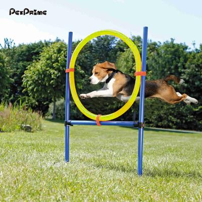 China Viable Agility Starter Training Equipment Kit Jump Ring Petprime Dogs Outdoor Pet Training Products Eco-Friendly for sale