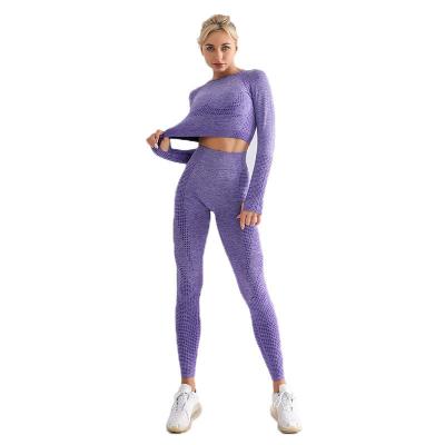 China Breathable Wholesale Seamless Long Sleeve Yoga Sets Tops And Yoga Gaiters Yoga Suit In Fitness Workout Set for sale