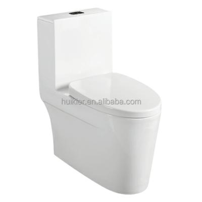 China Double-Flow Ceramic Arab Washdown One Piece WC Toilet for sale