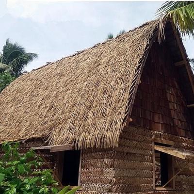 China Eco-Friendly Eco-friendly Artificial Thatch Roofing for sale