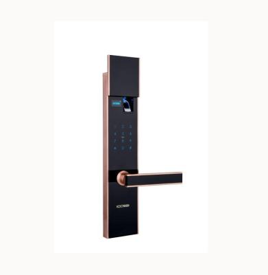 China ICCSSI Door Lock With Fingerprint Scanner For Home Use C700 for sale