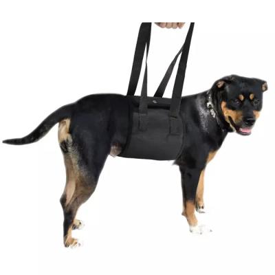 China Reflective Dog Joint Support Walking Emotional HipInjuries Leg Lift Harness Protective Belt Sling Support Dog Vest for sale