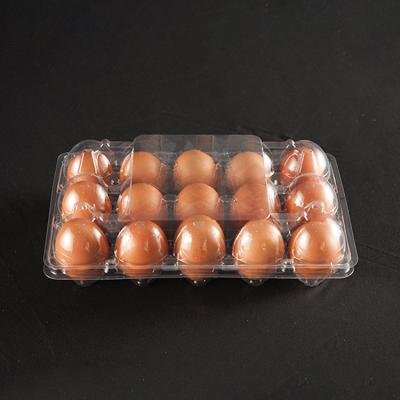 China High Quality Disposable Clear Plastic Clamshell Pet Food One Piece 15 Holes Egg Cartons For Fresh Storage for sale