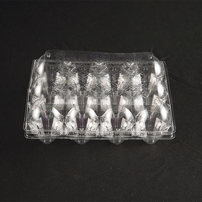 China Business& Hot Selling Customized 12 Holes Plastic Egg Container Rectangle Eco-friendly Shopping Egg Tray for sale