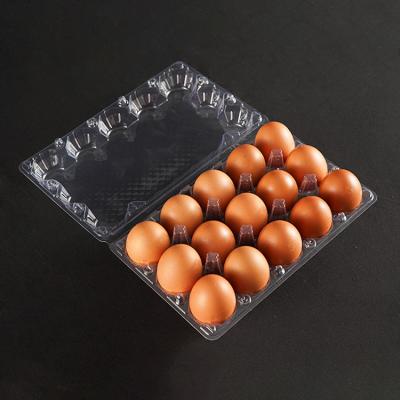 China Common Food Style 15 Holes PET Transparent Duck Egg Carton Rectangular Plastic Pulp Mount Egg Tray for sale