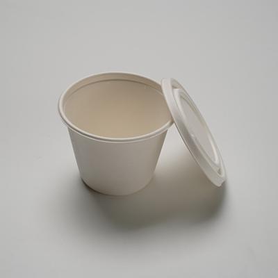 China Freshness Preservation Bagasse Disposable Compostable Fast Food Caterer Packaging New Biodegradable Lunch Box Food Container for sale