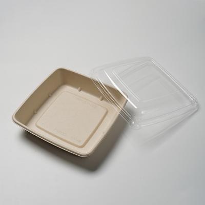 China Freshness Preservation Biodegradable Microwave Take Out Paper Food Container Meal Prep Packaging The New Far To Go Tray for sale