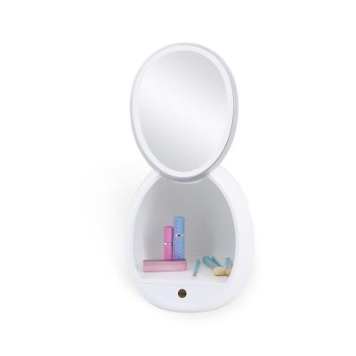 China Lighted Oval LED Vanity Table Mirror With Cosmetic Storage for sale