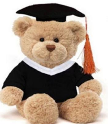 China Custom logo cotton bubble plush bear graduation clothing gift mini pp gift decoration teddy bear for sale