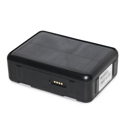 China Solar Charging Unique Design With Temperature Sensor Full 4G Network Waterproof Cattle Sheep Cow Solar Powered GPS Tracker With Step Counter for sale