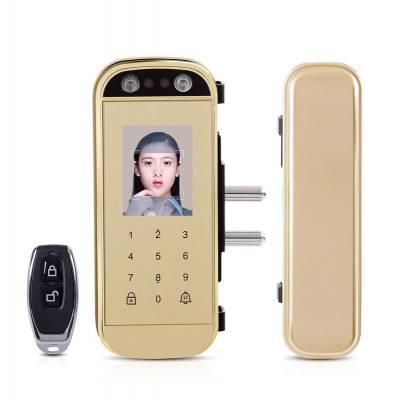 China 2.4INCH LCD Display Password Remote Controller Access Method Double Glass Door Lock With Face Recognition L2000 for sale