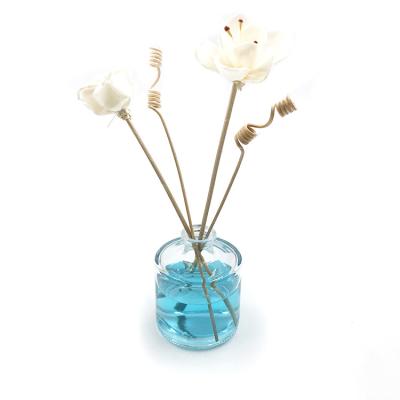 China Ce-SGS om 120ml Leeg Reed Diffuser Bottles Te koop