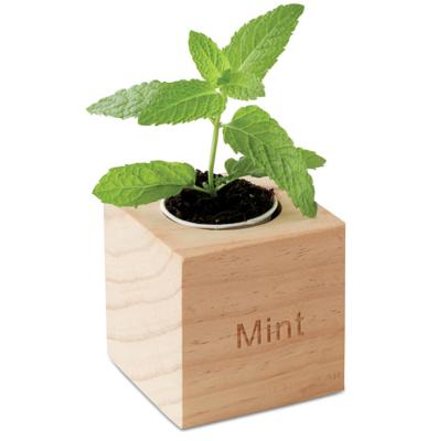 China Cute Gift 2020 Implantable Eco Friendly Gift Planting Kit With Seed And Pot for sale