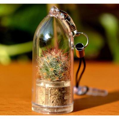 China Promotional Mini Gift Pet Plant Cactus Keychain for sale