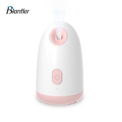 China 2021 Hot Professional Nano Facial Steamer Nano Facial Steamer Beauty Face Stemers Aromatherapy Facial Massage and Nasal Steamer for sale