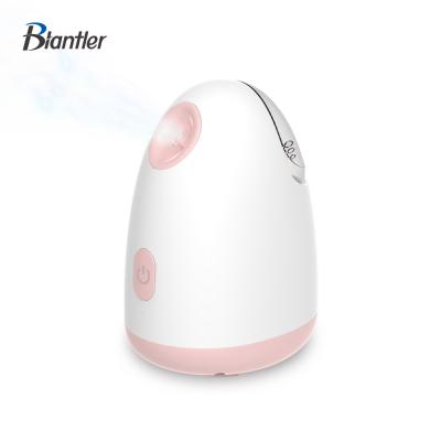 China Custom Professional Custom Ionic Facial Steamer Moisturizer Steamer Ozone Facial Massage Steamer Wholesale Portable Unique Sauna Facial for sale