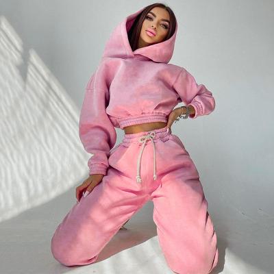 China 2021 Winter Popular QUICK DRY Thick Sweater Pullover Plain Hooded Jogger 2 Piece Set Sweatpants For Women for sale