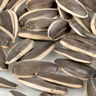 China Dry Dry Chose High Quality Large Raw Sunflower Seeds Inner Mongolia Sunflower Seeds for sale