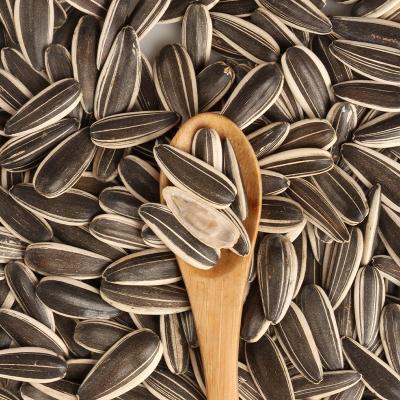 China Dried Dried All Raw China New Black Crop Size Strips Cheap Price Sunflower Seeds Sunflower Agsum for sale