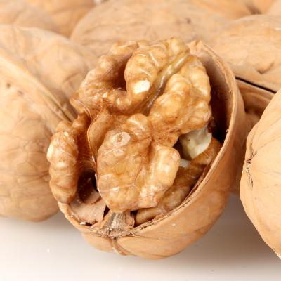 China Dry Xinjiang Paper Shell Walnuts 185 New Culture Dry Thin Skin for sale