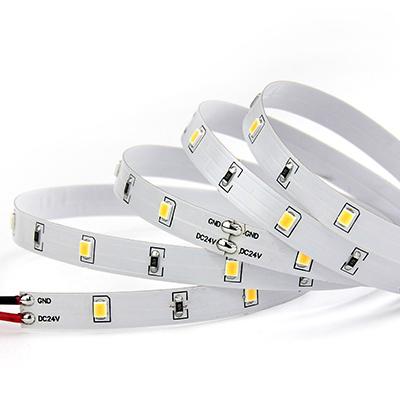 China Theme Park DC12V/24V High Efficiency CRI Up To 90 Flexible SMD2835 DC 12V 80 90lm/w Whit Color 24V 90 10mm Ww Nw Cw Led Strips for sale