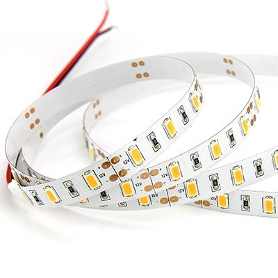 China Theme Park High Brightness SMD 5730 Double Side FPC 18W 3OZ Rolled 5m Copper Top LED Low Voltage 12V 24V Strips Flexible Light for sale