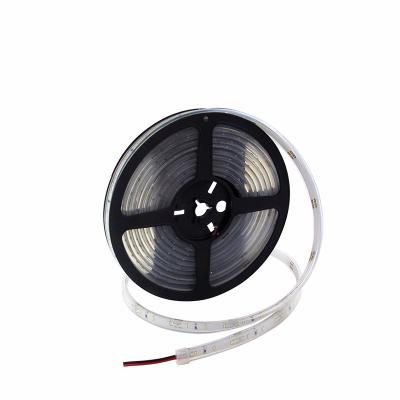 China High Quality Hotel OEM Ip66 5M 3014 Waterproof 60Leds 12V Led Strip Light for sale