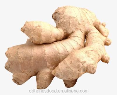 China Bag Hollow/Carton Customised Style Packing Packaging New Ginger Air Dry Ginger en venta