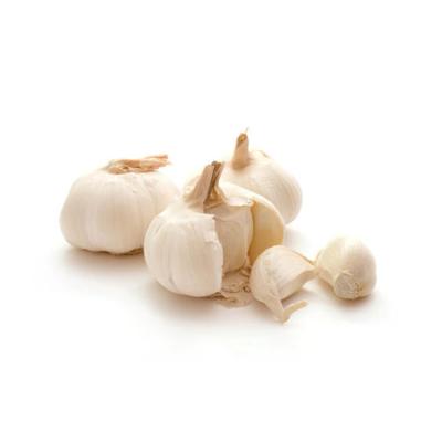 China Natural Low Price Fresh green food high-quality seasoning garlic Wholesale for sale