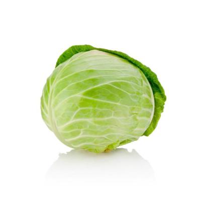 China Wholesale bulk delicious green fresh cabbage for sale zu verkaufen