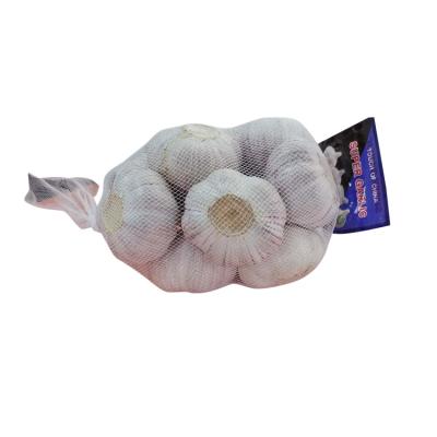 Chine Hot sales high quality Chinese fresh Natural white garlic Fresh White Garlic à vendre