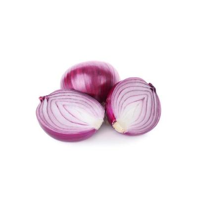 China High quality organic carefully selected fresh shiny red onion for sale