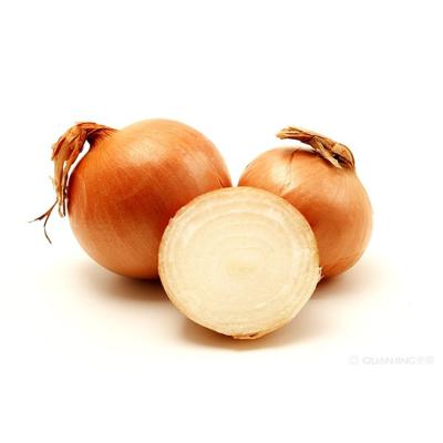 Cina Premium Grade New Crop Natural Fresh Small Onion Exporters from china in vendita