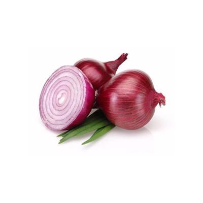 Κίνα onions in bulk-promotion Fresh organic yellow/red/white Onion προς πώληση