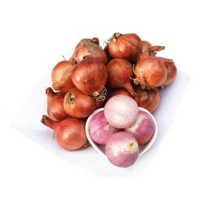 China Wholesale pure natural fresh healthy Red whole Yellow onion shallots for sale