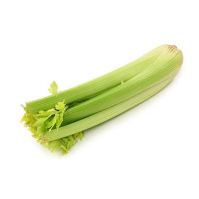 China Pure natural organic green vegetables wholesale fresh delicious green celery en venta