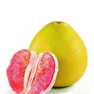 China wholesale chinese high quality fresh fruit white meat pomelo white pomelo à venda