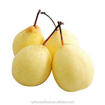 중국 China High Quality Fresh Fruit Sweet Crown Pear green pear 판매용