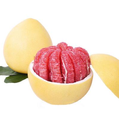 China Wholesale price of china pure natural organically grown sweet juicy red pomelo for sale