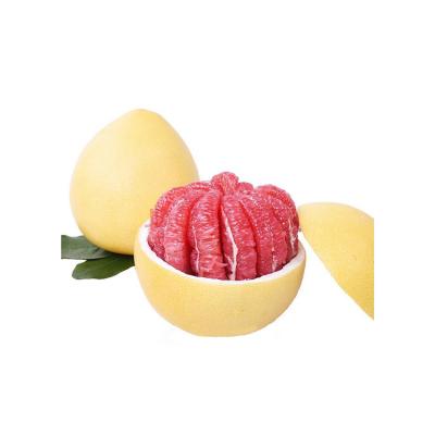 China 2020 New fresh fruit delicious juicy red meat pomelo for sale with best price Te koop