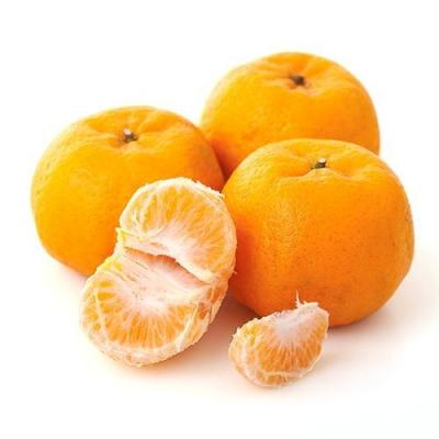 China Crop 2020 LUGAN Fresh sweet natural Chinese Mandarin Oranges seedless honey ponkan for sale