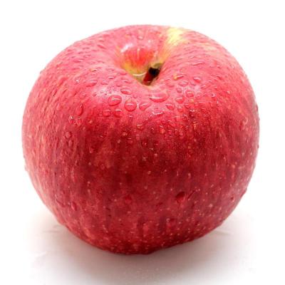 China New season Chinese high quality wholesale yantai red apple fresh fuji apple Te koop