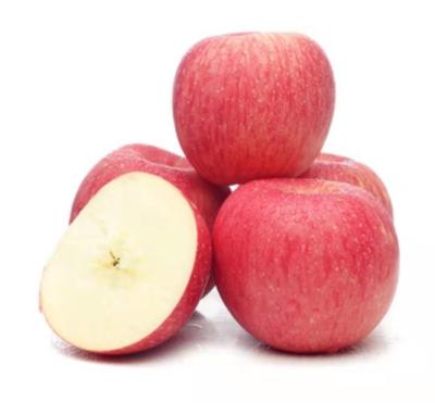 China Fresh Red Fuji Apple for sale from China with high quality and low price Te koop