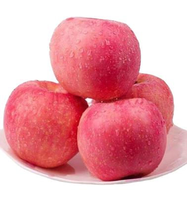 China 2021 New Crop Fresh Red Apple on sales hot sale Fresh Fuji Apple Fruits Te koop