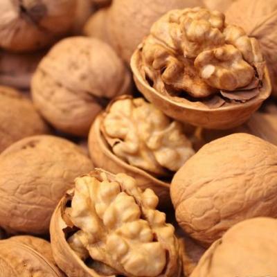 Chine New crop Chinese 2020 walnuts kernel halves Paper shelled Walnuts à vendre