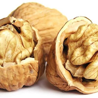 China New crop Chinese 2020 walnuts kernel halves Paper shelled Walnuts en venta