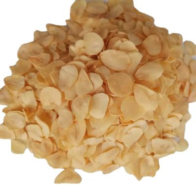 China Chinese Dehydrated Garlic granule high quality garlic slice hot sale garlic power for sale