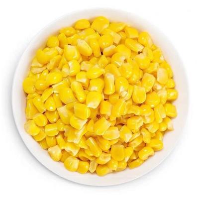 China IQF 2021 frozen sweet corn factory with high quality from China for sale